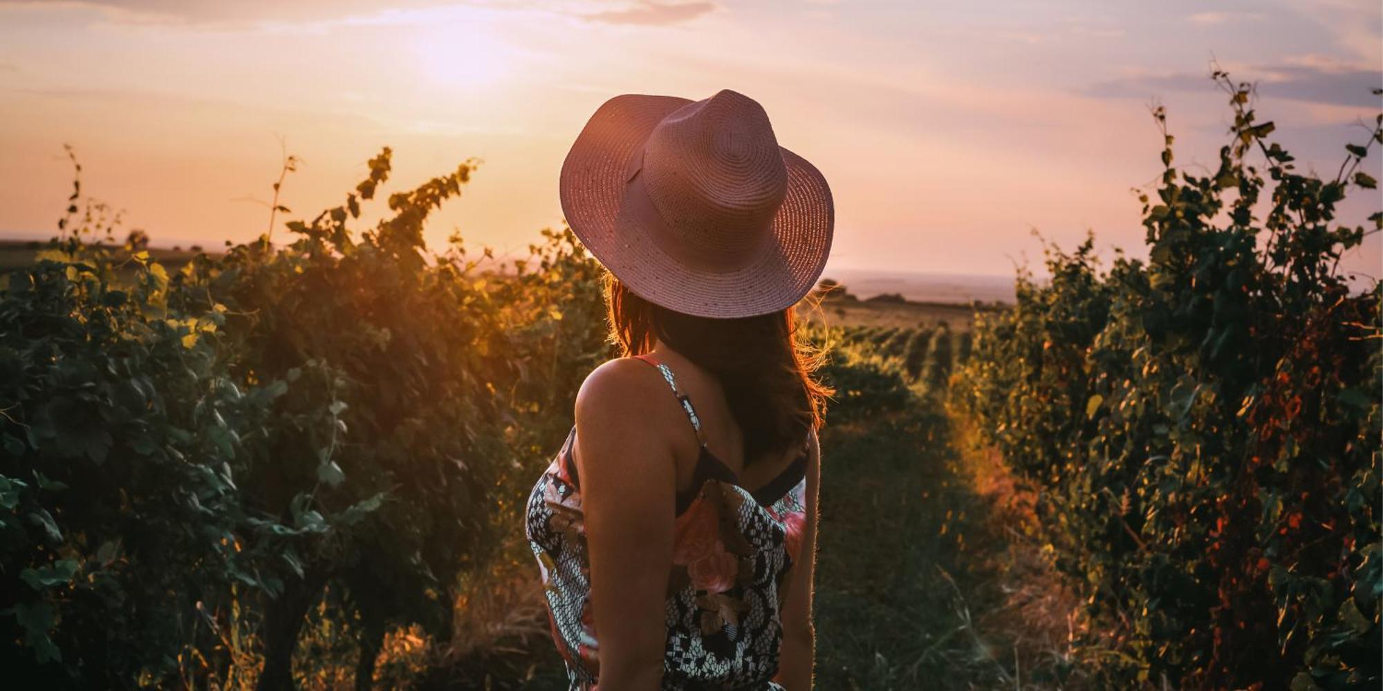 Minaro Hotel Tokaj Mgallery - Adult Only Exterior photo Sunset in the vineyards of the region