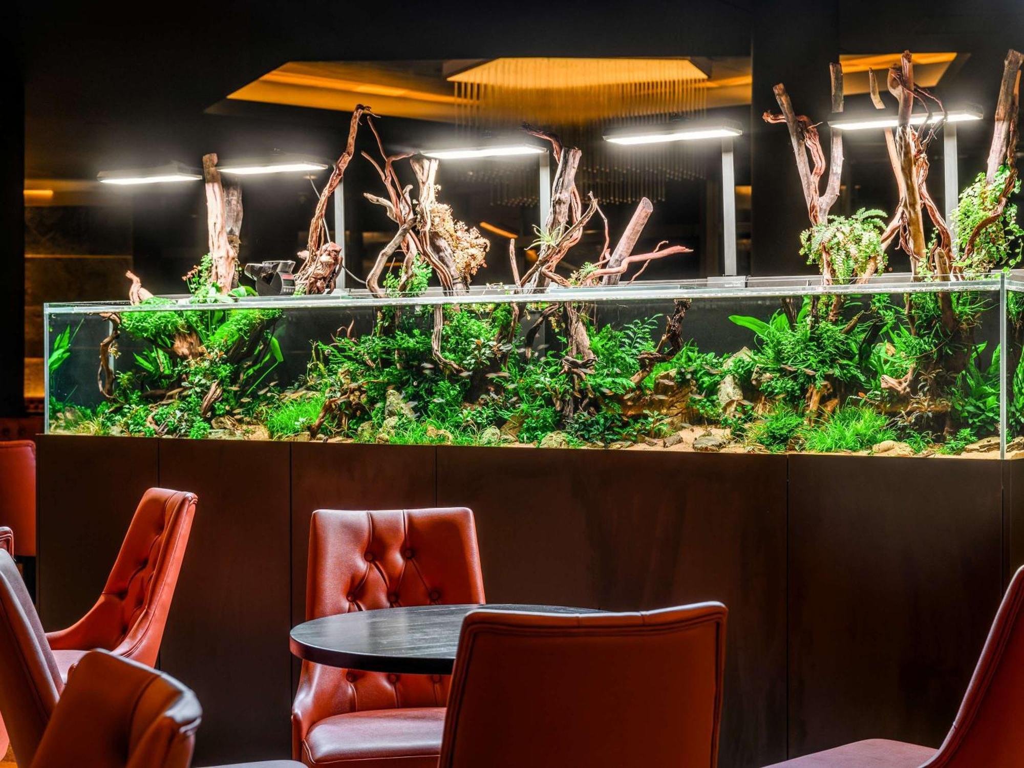 Minaro Hotel Tokaj Mgallery - Adult Only Exterior photo A planted freshwater aquarium